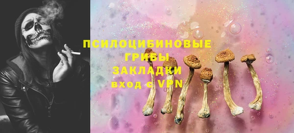 гидра Гусиноозёрск