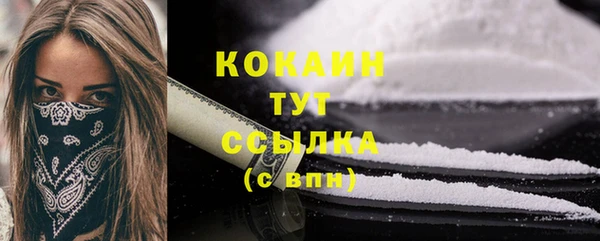 гидра Гусиноозёрск