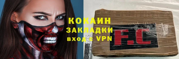 амф Гусь-Хрустальный