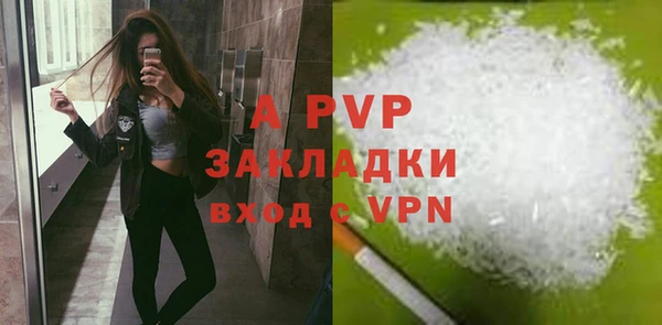 амф Гусь-Хрустальный
