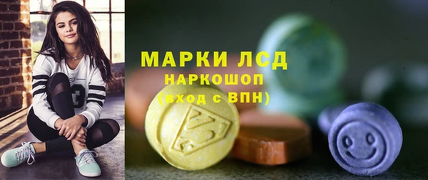 амф Гусь-Хрустальный