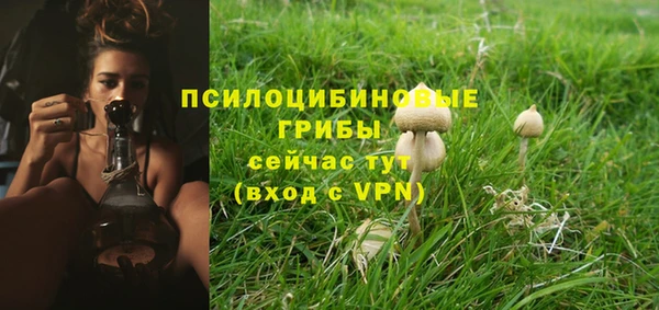 амф Гусь-Хрустальный
