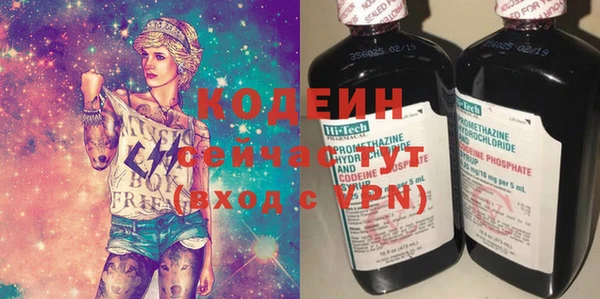 амф Гусь-Хрустальный
