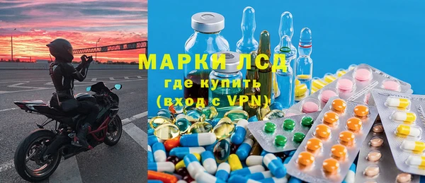 амф Гусь-Хрустальный