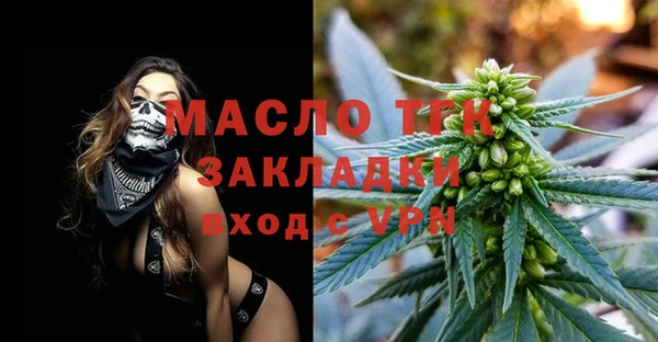 амф Гусь-Хрустальный