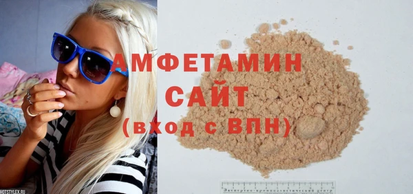 амф Гусь-Хрустальный