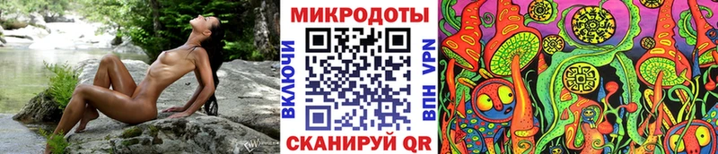 Купить  Ишим  Галлюциногенные грибы Psilocybine cubensis 